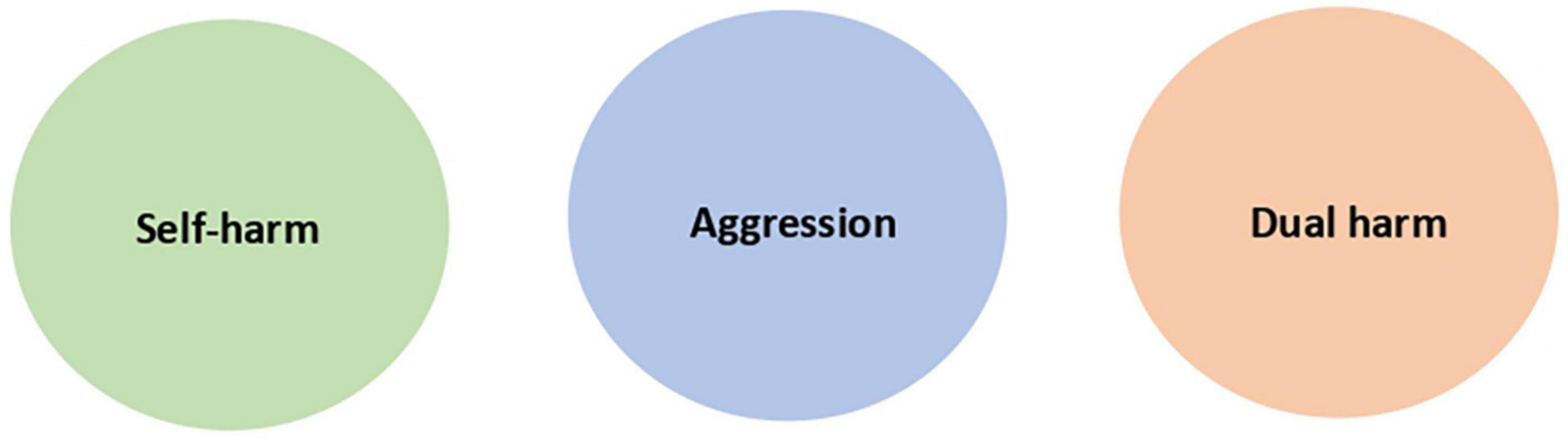 A systematic review of the co-occurrence of self-harm and aggression: Is dual harm a unique behavioural construct?